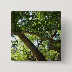 Badge Carré 5 Cm Sycamore Tree Nature verte