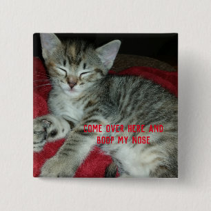 Badge Carré 5 Cm Tabby gris chaton bosse mon nez