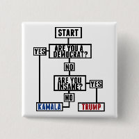 Tableau des flux électoraux amusant Vote Kamala An