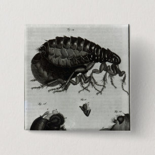 Badge Carré 5 Cm Tableau IV des mouches et des puces
