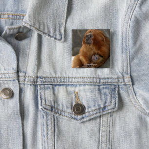 Badge Carré 5 Cm Tamarin d'or de lion avec le bébé