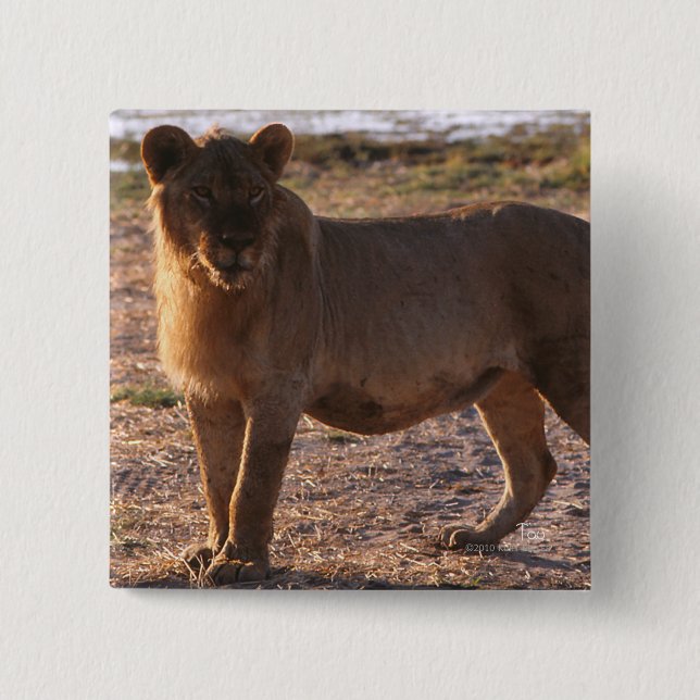 Badge Carré 5 Cm Tau, Lion, Photo (Devant)