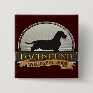 Badge Carré 5 Cm Teckel [à poils durs]