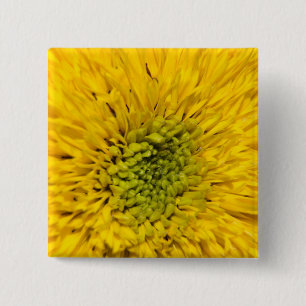 Badge Carré 5 Cm Teddy Bear Sunflower