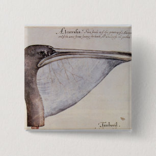 Badge Carré 5 Cm Tête d'un pélican Brown