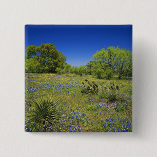 Badge Carré 5 Cm Texas, Texas Hill Country, Low vescie
