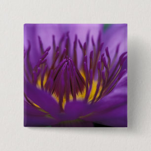 Badge Carré 5 Cm Thaïlande, Bangkok, Lotus pourpre et jaune 2