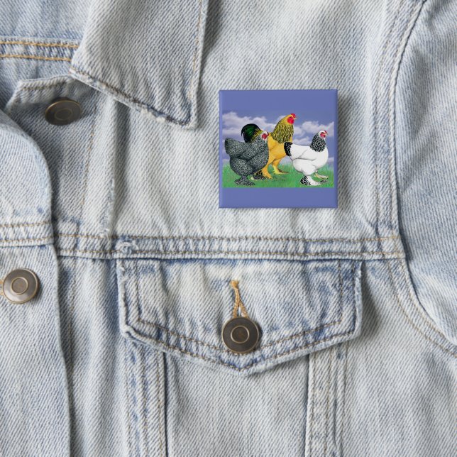 Badge Carré 5 Cm Three Brahmas (En situation)