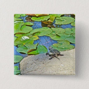 Badge Carré 5 Cm Tortue commune - Chelydra serpentina