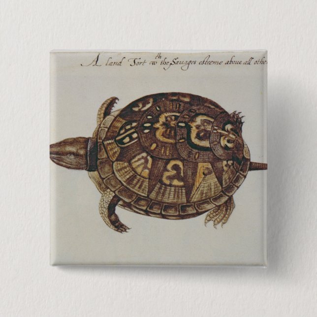Badge Carré 5 Cm Tortue de boîte commune (Devant)