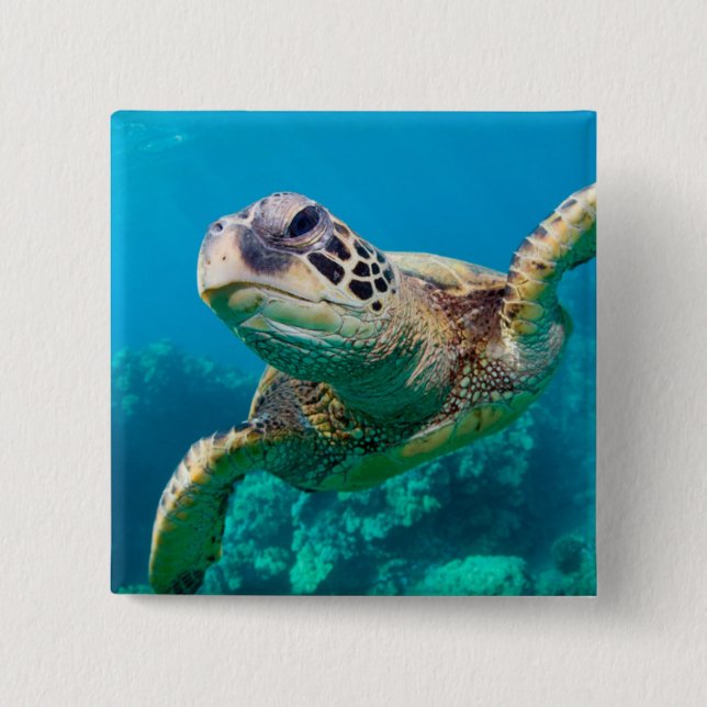 Badge Carré 5 Cm Tortue de mer verte nageant au-dessus du récif (Devant)