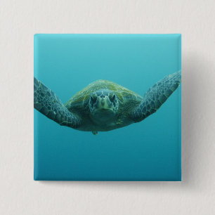 Badge Carré 5 Cm Tortue verte (Chelonia mydas agassisi), Central