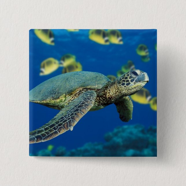 Badge Carré 5 Cm Tortue verte de mer (Devant)