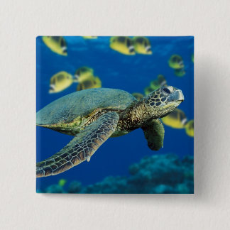 Badge Carré 5 Cm Tortue verte de mer