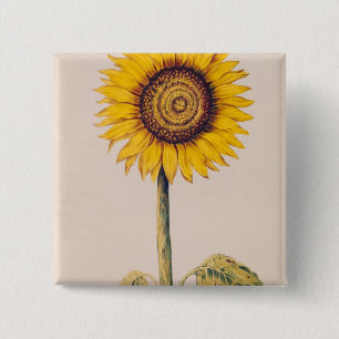 Badge Carré 5 Cm Tournesol ou Helianthus
