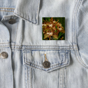 Badge Carré 5 Cm Tracyanum de Cymbidium