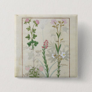 Badge Carré 5 Cm Trèfle violet et Onobrychis et Hyssopus de l'Aube