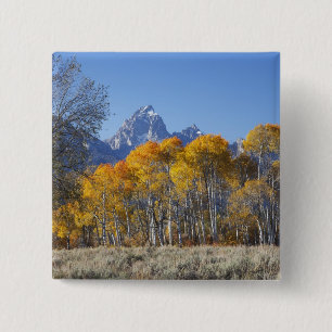 Badge Carré 5 Cm Trembles avec la chaîne de montagnes Teton