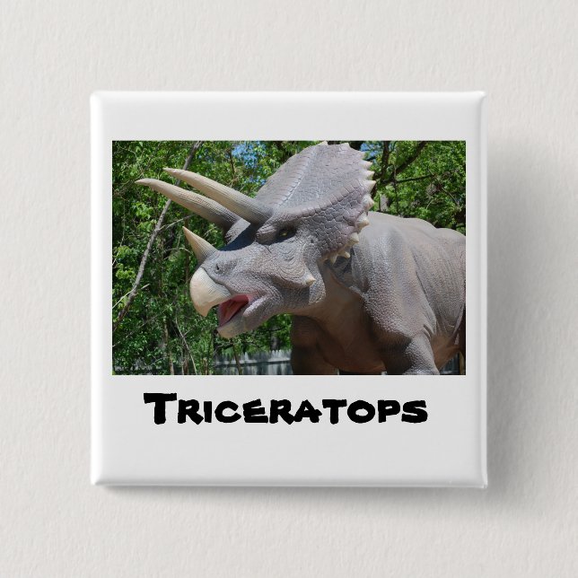 Badge Carré 5 Cm Tricératops Dinosaures (Devant)
