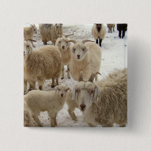 Badge Carré 5 Cm Troupeau des chèvres