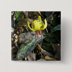 Badge Carré 5 Cm Trout Lily Fleur sauvage - Erythronium americanum