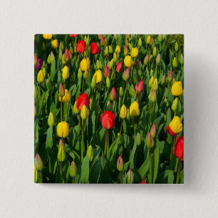 Badge Carré 5 Cm Tulipes colorées