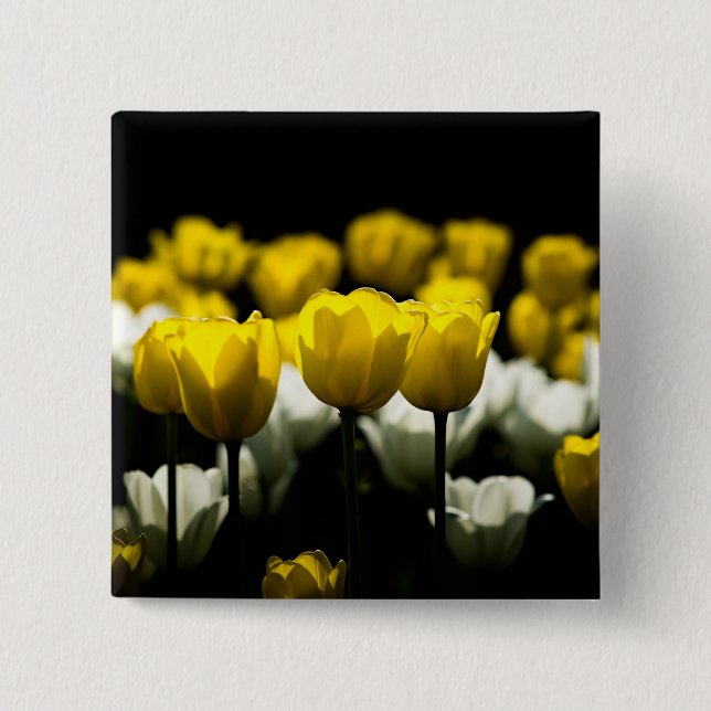 Badge Carré 5 Cm Tulipes Jaune Et Blanc (Devant)