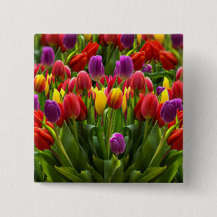 Badge Carré 5 Cm Tulipes lumineuses