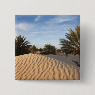 Badge Carré 5 Cm Tunisie, désert du Sahara, Douz, Grande Dune, palm