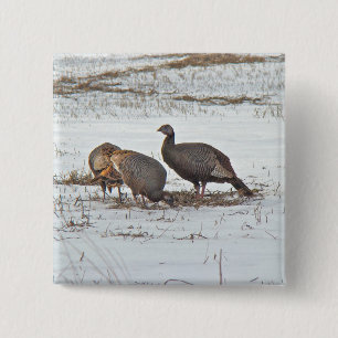 Badge Carré 5 Cm Turquie sauvage en terrain neigeux