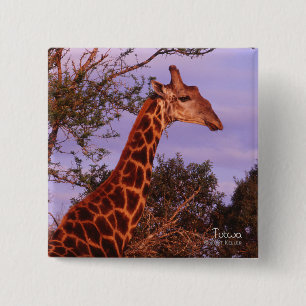 Badge Carré 5 Cm Tutwa, girafe au Botswana, Bouton