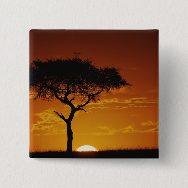 Badge Carré 5 Cm Umbrella Thorn Acacia, Acacia tortilis, (Devant)