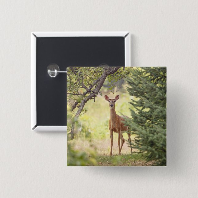 Badge Carré 5 Cm Un cerf solitaire  (Devant & derrière)