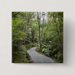Badge Carré 5 Cm Un chemin à travers une forêt tropicale à la ba