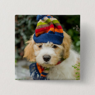 Badge Carré 5 Cm Un chiot doux de Cavachon dans un casquette et une