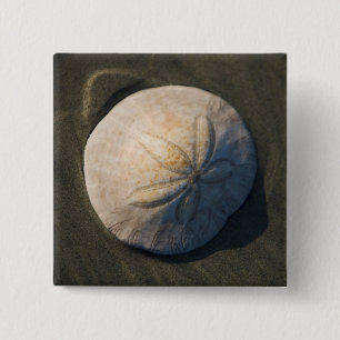 Badge Carré 5 Cm Un dollar de sable sur la plage