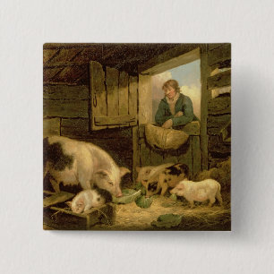 Badge Carré 5 Cm Un garçon regardant dans une étable de porc, 179
