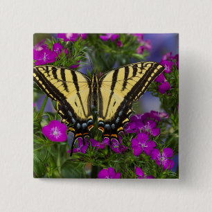 Badge Carré 5 Cm Un papillon vice-roi sur des fleurs rose foncé