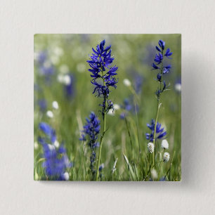 Badge Carré 5 Cm Un pré de montagne rempli de fleurs sauvages compr