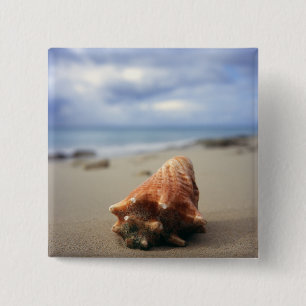 Badge Carré 5 Cm Une conque Shell sur le St Croix, Usvi de la plage