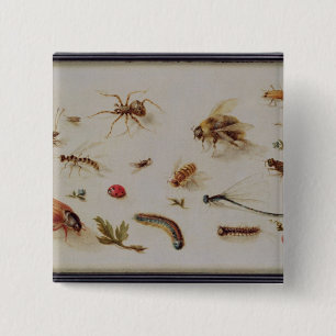 Badge Carré 5 Cm Une étude des insectes