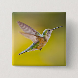 Badge Carré 5 Cm USA, Colorado, Summit County, Heeney. Vue de côté