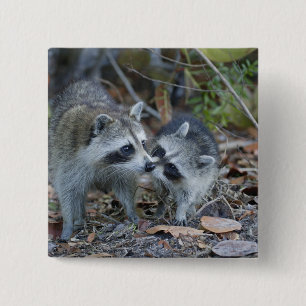 Badge Carré 5 Cm USA, Floride, Sanibel, Ding Darling National