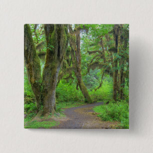 Badge Carré 5 Cm USA, Washington, Olympic National Park, Hoh