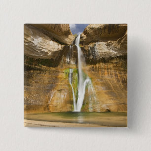 Badge Carré 5 Cm Utah, Grand Staircase Escalante NM, Lower Calf