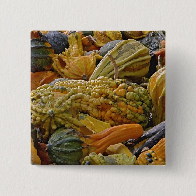 Badge Carré 5 Cm Variété de courge (Devant)