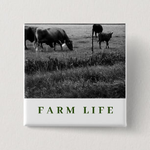 Badge Carré 5 Cm Vie agricole, famille de vaches
