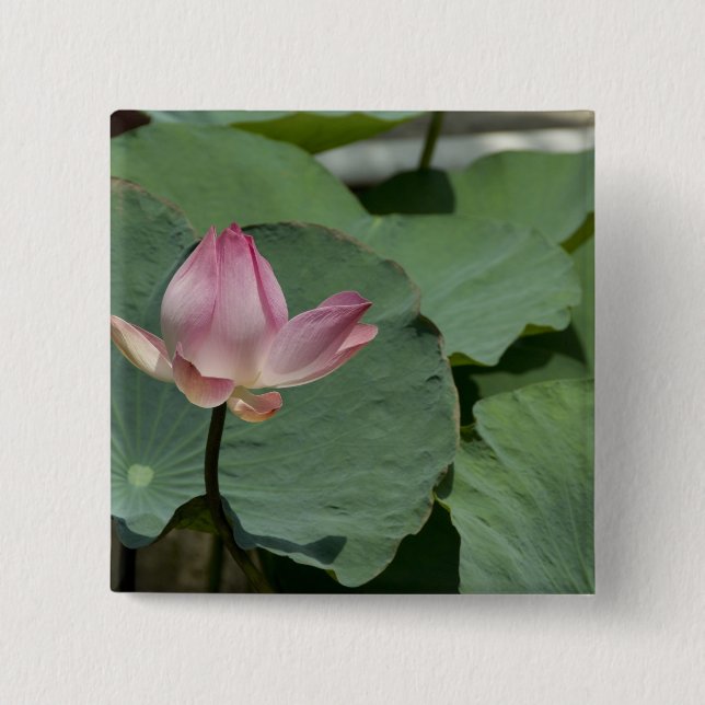 Badge Carré 5 Cm Vietnam, près de Saigon) My Tho. Vinh Trang 2 (Devant)