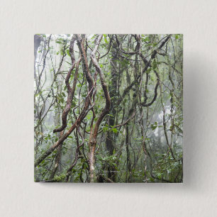 Badge Carré 5 Cm vigne et branches tordues dans la forêt tropicale