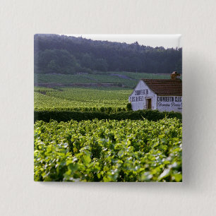 Badge Carré 5 Cm vignoble Chambertin Clos de Beze Grand Cru avec